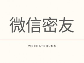 微信密友 - WechatChums，基于微信巫师，更新至1.2.2，支持微信7.0.6