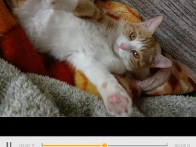 DU GIF Maker,目前最方便的GIF动图制作工具