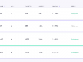 美国VPS主机商 SSD Nodes 7周年促销，24G内存配置，$9.99起