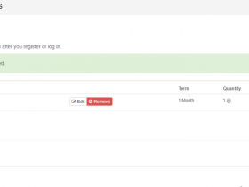 Wishosting大硬盘VPS促销,400GB月付$3.99起步