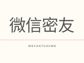 微信密友 - WechatChums,基于微信巫师,更新至1.2.2,支持微信7.0.6