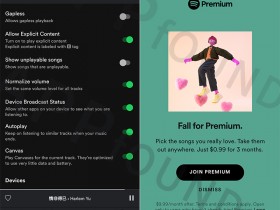 使用Spotify的正确姿势,睡眠定时器,卡拉OK歌词,家庭版会员解决方案