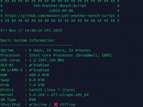 Saltyfish VPS CN2 GIA线路评测